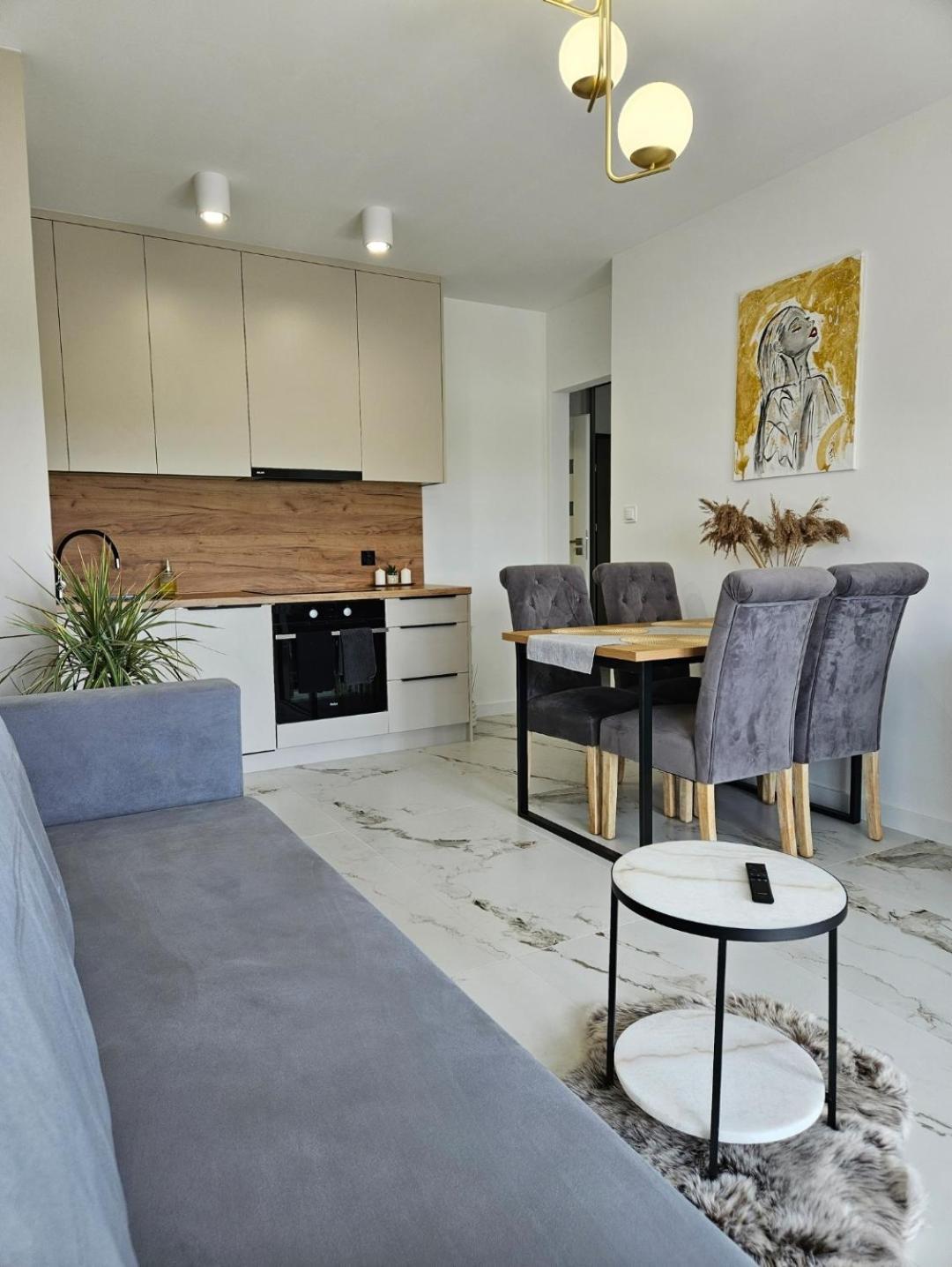 Riverside Premium Apartments In City Centre Olsztyn  Kültér fotó